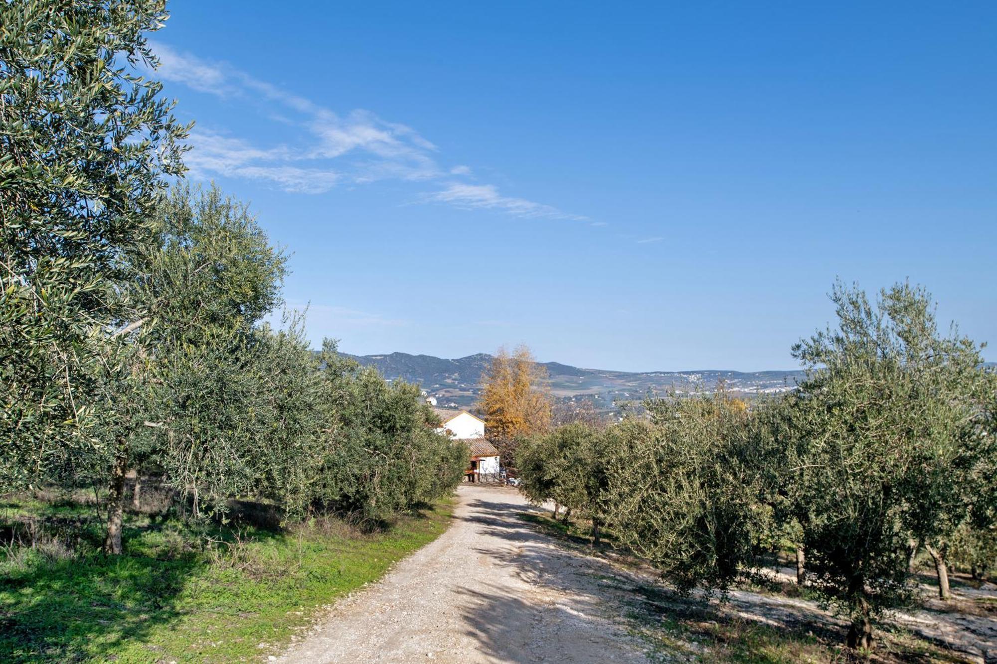 Casa Rural Fuente Dulce Ρόντα Εξωτερικό φωτογραφία
